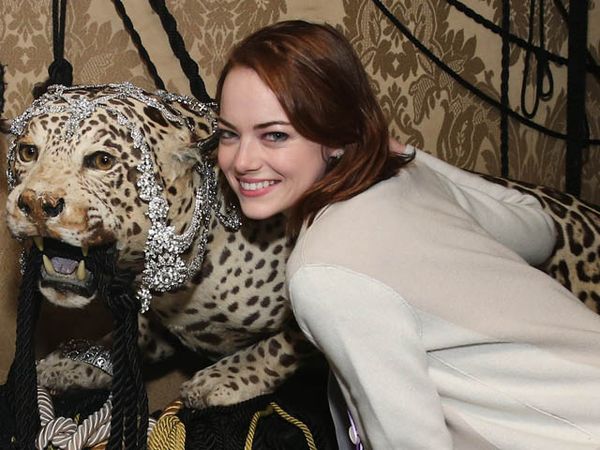 Hiii... Emma Stone Foto Bareng Macan Tutul