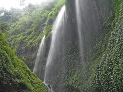 Hujan Abadi di Tempat Gajah Mada Semedi