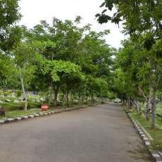 TPU Penuh, Pemkot Beri Solusi Sistem Sewa atau Ditumpuk