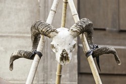 Campak Menyebar di Papua New Guinea, 4 Wanita Dituduh Praktik Sihir