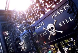 Kenapa Taman Cantik di Inggris Ini Dibilang Mematikan?