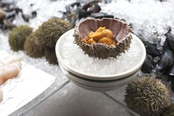 Bulu Babi Kini Jadi Sajian Populer untuk Pizza dan Nasi Goreng di New York