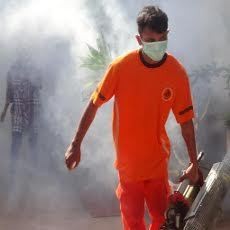 Dua Warga Meninggal Dunia Terserang DB, Dinkes Sumenep Nyatakan KLB