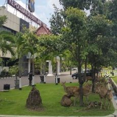 Puluhan Rusa Bebas Berkeliaran di Kantor Polisi