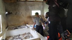 Pengolahan Kulit Sapi Pakai Bahan Kimia untuk Perbesar Keuntungan