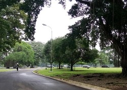 Pimpinan KPK Tiba di Istana Bogor, Langsung Bertemu Jokowi dan Petinggi Polri