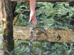 Liburan 3 Hari ke Surga Raja Ampat, Mau?