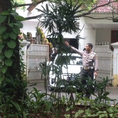 Usai Penangkapan BW, Menkum HAM Yasonna Bolak Balik ke Rumah Mega