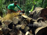 Mengolah Limbah Kayu Jadi Berharga