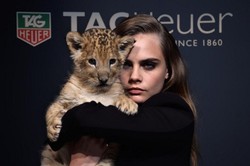 Foto dengan Anak Singa, Cara Delevingne Diprotes