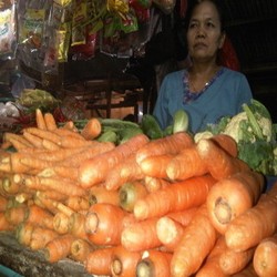 BBM Turun, Tapi Harga Wortel, Kangkung, dan Bayam Malah Naik