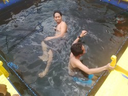 Berenang Bareng Hiu di Selat Bali, Berani?