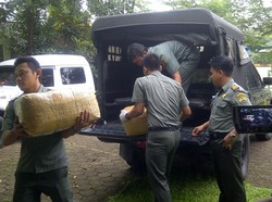 Ribuan Sisik Trenggiling Tujuan Hong Kong Disita Petugas BKSDA Bogor