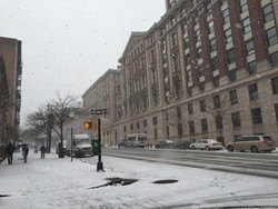 WNI Cerita Soal Badai Salju Dahsyat di New York, Begini Suasananya