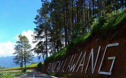 Puncak Lawang, Tempat Terbaik Menikmati Danau Maninjau