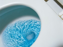 Demi Naik Pesawat, Wanita Ini Tenggelamkan Anjingnya di Toilet Bandara