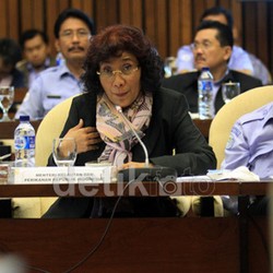 Menteri Susi: Setelah Lobster, Bibit Ikan Kerapu Dilarang Ekspor