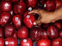 Apel AS Berbakteri, Pedagang Buah Sepi Pembeli
