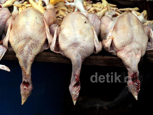 BBM Turun, Harga Daging Ayam Ogah Turun