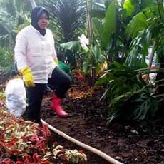 PDIP Tak Lagi Usung Risma sebagai Wali Kota Surabaya?