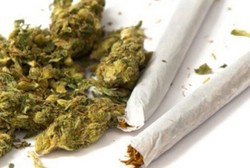 Para Dokter Tegaskan Ganja Medis Hanya untuk Anak yang Sakit Parah