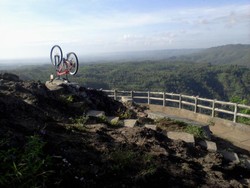 Serunya Bersepeda dan Memetik Buah di Bantul