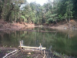 Telaga Misterius di Tengah Hutan Lindung Cianjur
