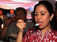 Puan Maharani Luncurkan Program Raskin 2015