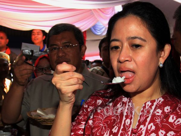 Puan Maharani Luncurkan Program Raskin 2015