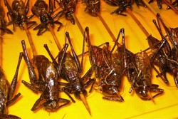 5 Kuliner Paling Aneh di Beijing