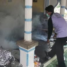 Ratusan Warga Lumpuh, Puskesmas Situbondo Nyatakan KLB Chikungunya