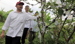 Berdayakan Masyarakat, Menteri Desa Lakukan MoU dengan PBNU