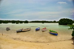 Pulau Pari yang Selalu Cantik dalam Bidik Kamera