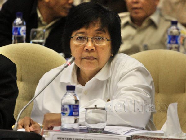 Siti Nurbaya Genjot Ekspor Kayu