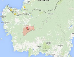 Ratusan Warga Terjangkit Rabies, 2 Kabupaten di Kalbar Diisolasi