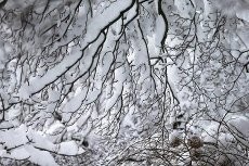 Lebih dari 3 Ribu Penerbangan Dibatalkan Akibat Badai Salju di AS