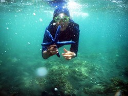 Pesona Bawah Laut Pantai Bangsring, Saingannya Raja Ampat