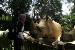 Bosan Belanja di Singapura? Main ke Singapore Zoo Saja!