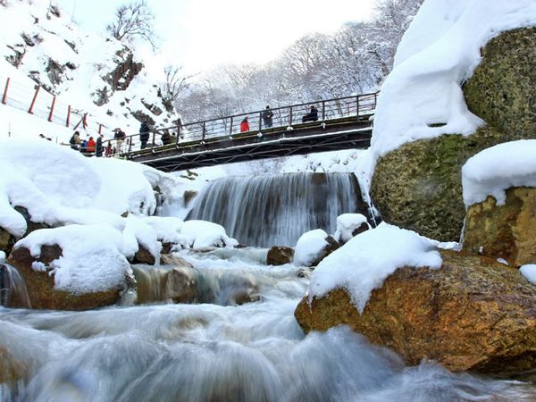 Mengabadikan Momen Musim Dingin di Jepang