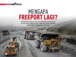 Mengapa Freeport Lagi?