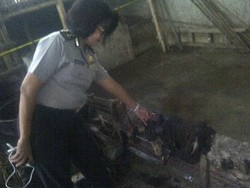 Polisi Buru Importir Australia Pemasok Kulit Sapi Busuk di Bandung