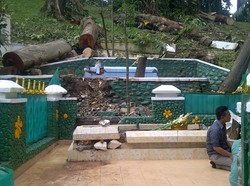 Kata Juru Kunci soal Makam di Kebun Raya Bogor yang Rusak Tertimpa Pohon