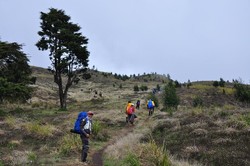 Petualangan Mendaki Gunung Prau Lewat Dieng Wetan