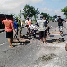 Pemerintah Cuek, Warga Tanami Jalan Rusak dengan Pisang
