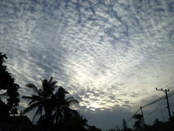 above the cloude wave