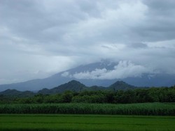 Kelabu menyelimuti Gunung Lawu