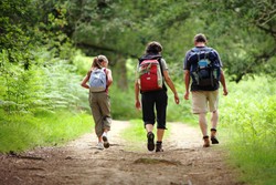 Ini Dia Manfaat Jalan Kaki Saat Traveling, Bagi Kesehatan