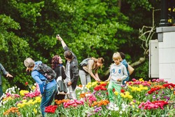 Tulip Island di Amsterdam, Tulip Tak Hanya Mekar Pada Musim Semi