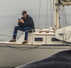 Sibuk Pakai Ponsel Sampai Tak Sadar Didekati Paus