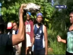 Ular Piton 10 Meter Pemangsa Ternak Ditangkap Warga
